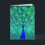 CARTÃO DE ANIVERSÁRIO ENGRAÇADO DE PAZ<br><div class="desc">CARTÃO DE ANIVERSÁRIO DO PEACOCK. DENTRO READS: ATIRE SUAS COISAS! É SEU ANIVERSÁRIO!</div>