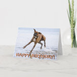 Cartão de aniversário engraçado do cão do<br><div class="desc">Cartão de aniversário running louco do cão do pugilista. O texto na parte dianteira lê "o feliz aniversario!" e o interior do texto lê a "esperança que você tem um grande dia!"</div>