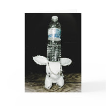 Cartão de aniversário engraçado do coelho. Seja