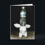 Cartão de aniversário engraçado do coelho. Seja<br><div class="desc">Comemore seu aniversário com Aldo, o coelho com um sentido de humor. Este coelho ama pôr o material sobre sua cabeça. Está em uma viagem da felicidade interna. ... ... ... ... ... ... ... ... ... ... ... ... ... ... ... ... ... Aldo é uma rejeição perfeita. Cada...</div>