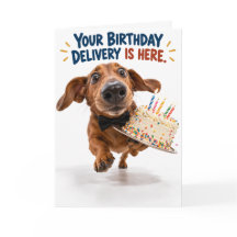 Cartão de aniversário engraçado do Dachshund | Hum