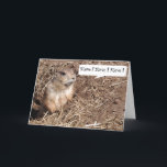 Cartão de aniversário engraçado do esquilo<br><div class="desc">Squirrel o cartão de aniversário para personalizar com seus próprios nome e cumprimento! Mude o texto ao seu gosto.</div>