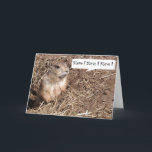 Cartão de aniversário engraçado do esquilo<br><div class="desc">Squirrel o cartão de aniversário para personalizar com seus próprios nome e cumprimento! Mude o texto ao seu gosto.</div>