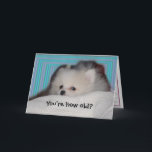Cartão de aniversário engraçado do filhote de<br><div class="desc">As listras azuis do aqua brilhante da modificação cercam um filhote de cachorro branco bonito de Pomeranian que esteja pedindo: Você é como idoso? O texto interno diz: Tenha um feliz aniversario de qualquer maneira!. Todo o texto é customizável. © poucos fotografia & design da asa</div>