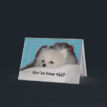 Cartão de aniversário engraçado do filhote de<br><div class="desc">As listras azuis do aqua brilhante da modificação cercam um filhote de cachorro branco bonito de Pomeranian que esteja pedindo: Você é como idoso? O texto interno diz: Tenha um feliz aniversario de qualquer maneira!. Todo o texto é customizável. © poucos fotografia & design da asa</div>