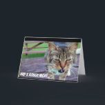 Cartão de aniversário engraçado do gato<br><div class="desc">Este é um cartão de aniversário divertido para alguém para seu aniversário.</div>