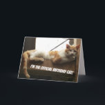 Cartão de aniversário engraçado do gato<br><div class="desc">Este é um cartão de aniversário engraçado que ilumine acima de uma pessoa em seu aniversário.</div>