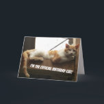 Cartão de aniversário engraçado do gato<br><div class="desc">Este é um cartão de aniversário engraçado que ilumine acima de uma pessoa em seu aniversário.</div>