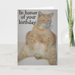 Cartão de aniversário engraçado do gato Manx gordo