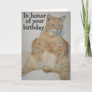 Cartão de aniversário engraçado do gato Manx gordo
