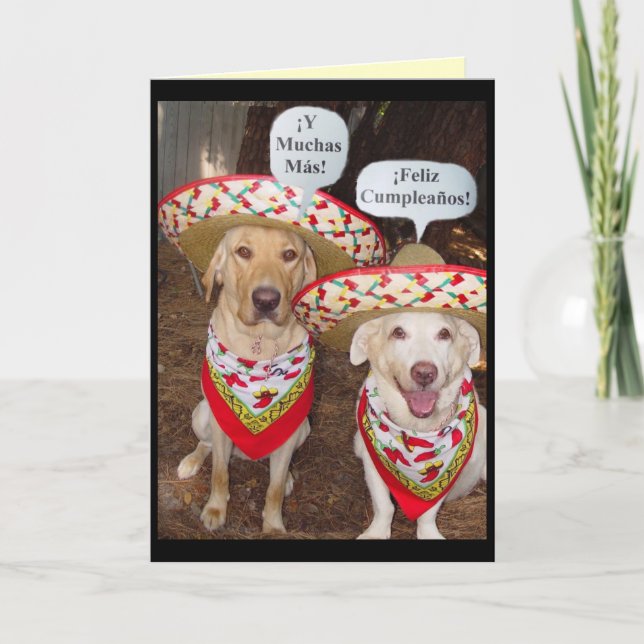 Cartão de aniversário engraçado do laboratório em  (Frente)