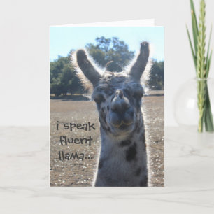 Cartão de aniversário engraçado do lama, eu fal