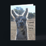 Cartão de aniversário engraçado do lama, eu falo o<br><div class="desc">Cartão de aniversário engraçado do lama,  eu falo o lama fluente…</div>