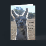 Cartão de aniversário engraçado do lama, eu falo o<br><div class="desc">Cartão de aniversário engraçado do lama,  eu falo o lama fluente…</div>