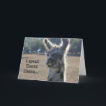 Cartão de aniversário engraçado do lama, eu falo o<br><div class="desc">Cartão de aniversário engraçado do lama,  eu falo o lama fluente…</div>