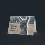 Cartão de aniversário engraçado do lama, eu falo o<br><div class="desc">Cartão de aniversário engraçado do lama,  eu falo o lama fluente…</div>