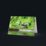 Cartão de aniversário engraçado do pássaro<br><div class="desc">Quando você quer seu amado sorrir,  envie a seus cartões de aniversários nisto a imagem belamente fotografada… enchida com o encanto e certa deleitar-se!!!</div>