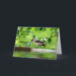 Cartão de aniversário engraçado do pássaro<br><div class="desc">Quando você quer seu amado sorrir,  envie a seus cartões de aniversários nisto a imagem belamente fotografada… enchida com o encanto e certa deleitar-se!!!</div>