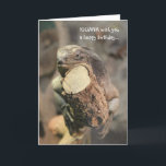 Cartão de aniversário engraçado, iguana que<br><div class="desc">Cartão de aniversário engraçado,  iguana que napping</div>