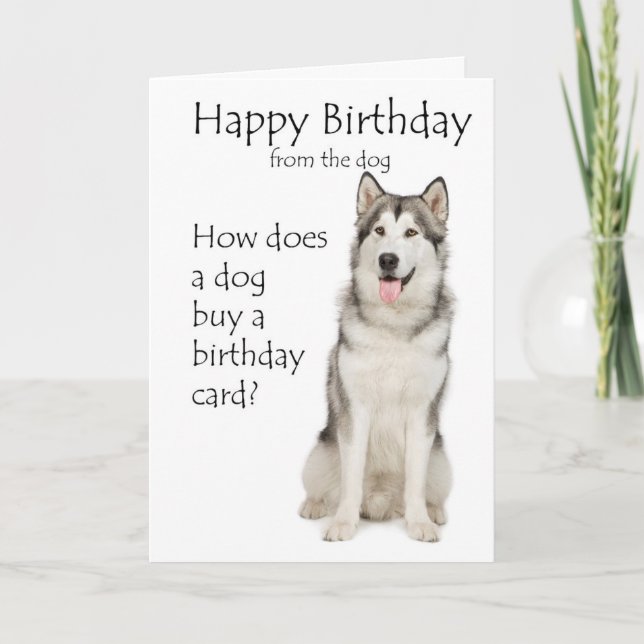 Cartão de Aniversário Engraçado Malamute (Frente)