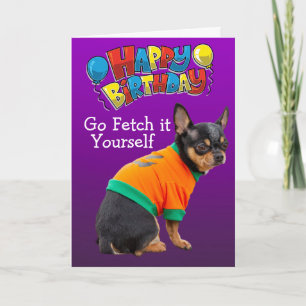 Cartão de aniversário engraçado para cães Chihuahu