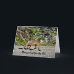 Cartão de Aniversário Engraçado Sly Fox<br><div class="desc">Esta raposa selvagem diz que não pode sair para o enganar.  Ele está atravessando a trilha no noroeste do território do BC.  Um cartão de aniversário de fotografia de animais humorístico e elegante. Personalize a placa conforme desejado.</div>