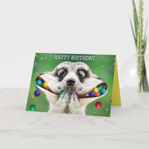 Cartão de Aniversário Engraçado - Suricata