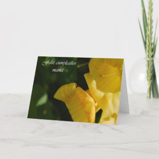 Cartão de aniversário espanhol para a mamã