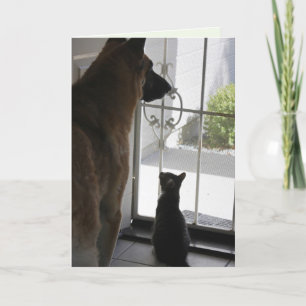 Cartão de Aniversário Especial