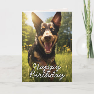 Cartão de aniversário feliz australiano Kelpie