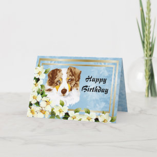 Cartão de aniversário feliz australiano pastor