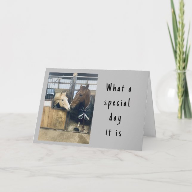 CARTÃO DE ANIVERSÁRIO FELIZ "CAVALOS AMIGOS" (Frente)