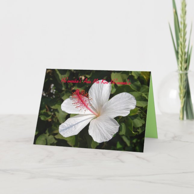 Cartão de Aniversário Feliz com Hibisco Branco Hav (Frente)