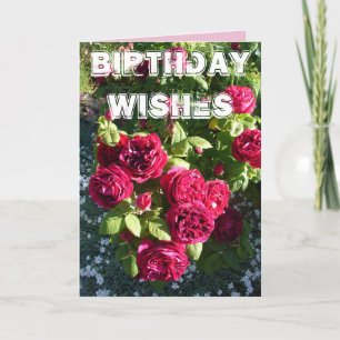 Cartão de Aniversário Feliz com Jardim Floral de R