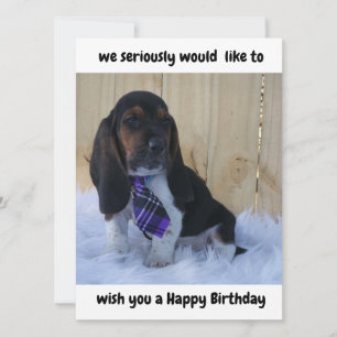 Cartão de Aniversário Feliz da Caça Basset