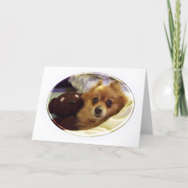 Cartão de Aniversário Feliz da Pomerânia