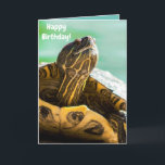 Cartão de Aniversário Feliz da Tartaruga<br><div class="desc">Este cartão de aniversário feliz,  giro e giro,  é um excelente de dizer ao seu amigo que está pensando neles no dia especial.  Deixe a mensagem divertida dentro a placa,  ou personalize-a com algo especial apenas de você,  SEM CUSTO ADICIONAL!</div>
