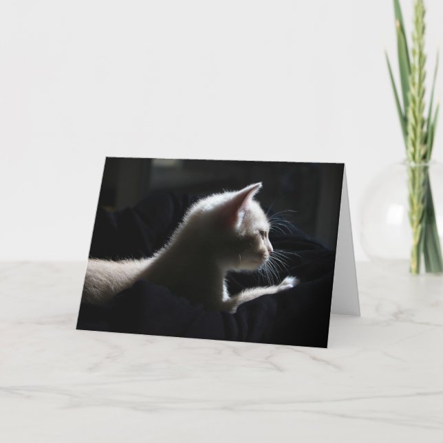 Cartão de Aniversário Feliz de Cat (Frente)