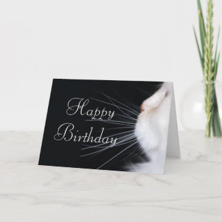 Cartão de Aniversário Feliz de Design 1 para Gato