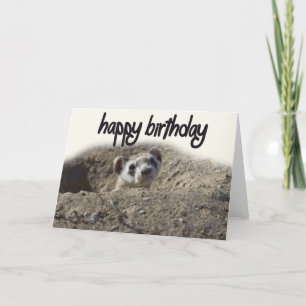 Cartão de Aniversário Feliz de Ferret