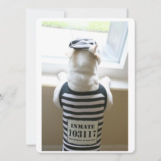 Cartão de Aniversário Feliz de Frenchie Jailbird (Frente)