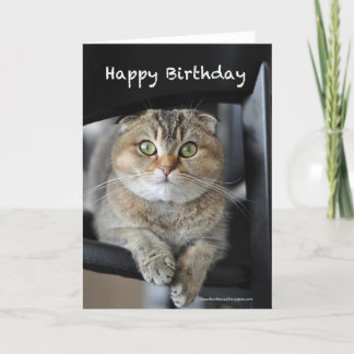cartão de aniversário feliz de gato-do-mato-pequen