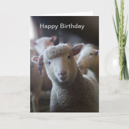 Cartão de Aniversário Feliz de Lamb