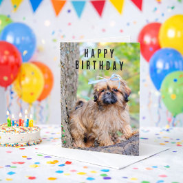 Cartão de Aniversário Feliz do Cachorrinho Shih Tz