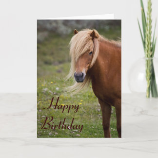 Cartão de Aniversário Feliz dos Cavalos Islandeses
