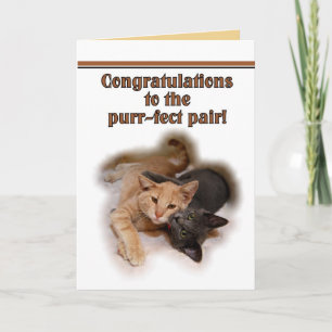Cartão de Aniversário Feliz para Amantes de Gatos