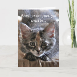 Cartão de Aniversário Feliz para Kitten Intenso