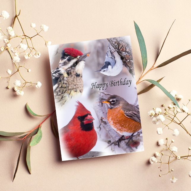 Cartão De Aniversário Feliz Para Várias Aves (Criador carregado)