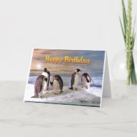 Cartão de Aniversário Feliz Pinguim