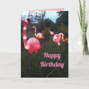 Cartão de aniversário Flamingo